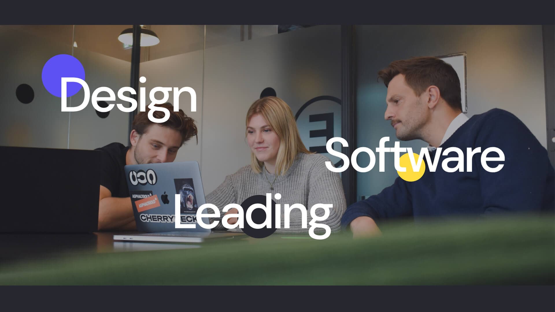 Design Leading Software